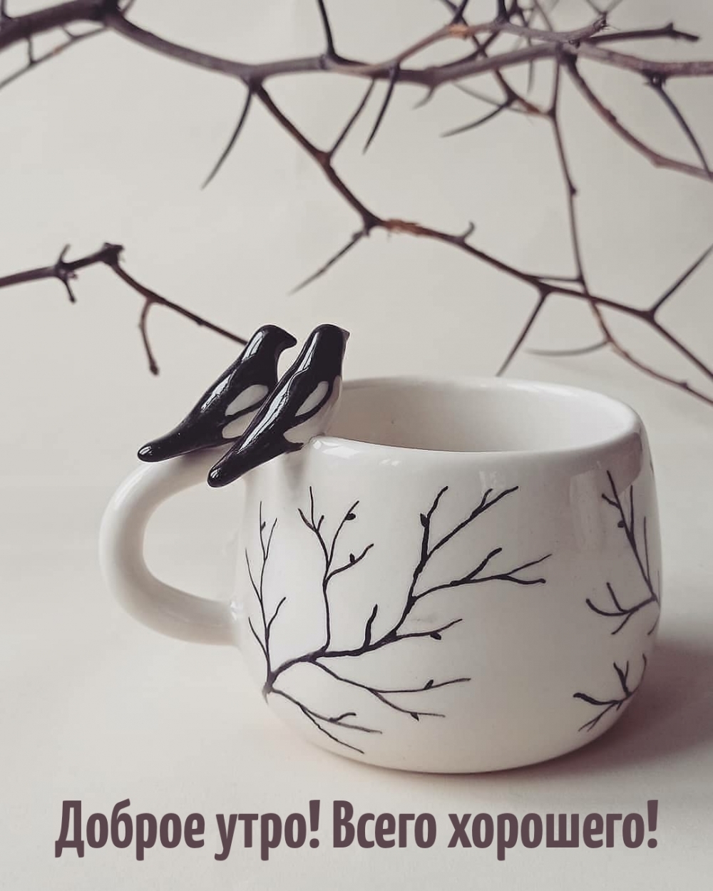 ������ ����! ����� ��������!.