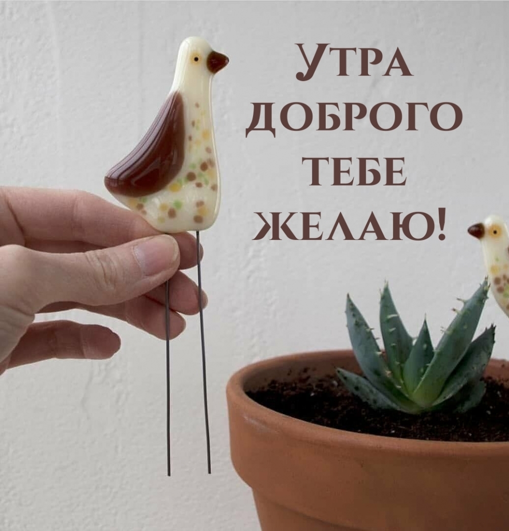 ���� ������� ���� �����!.