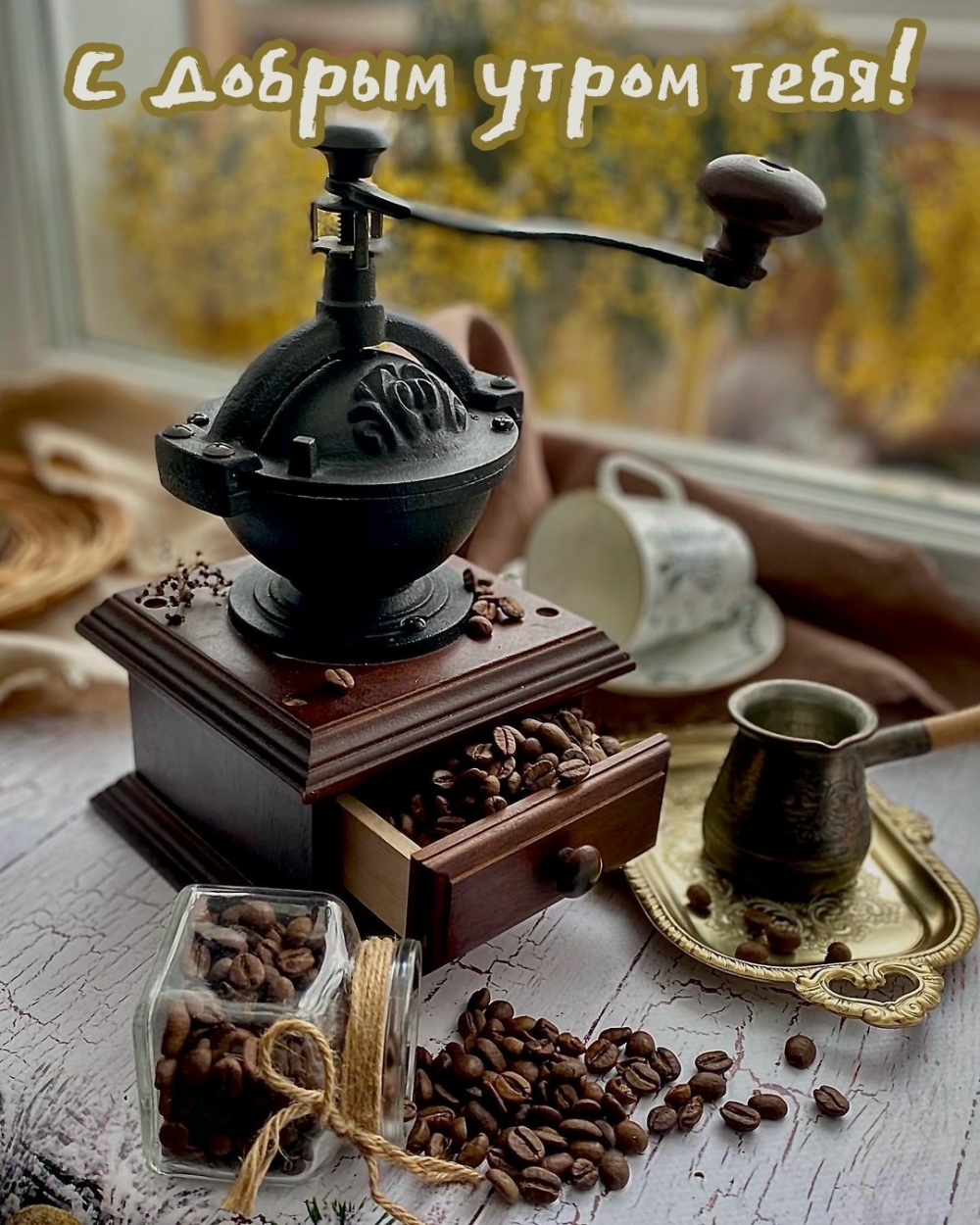 � ������ ����� ����!.