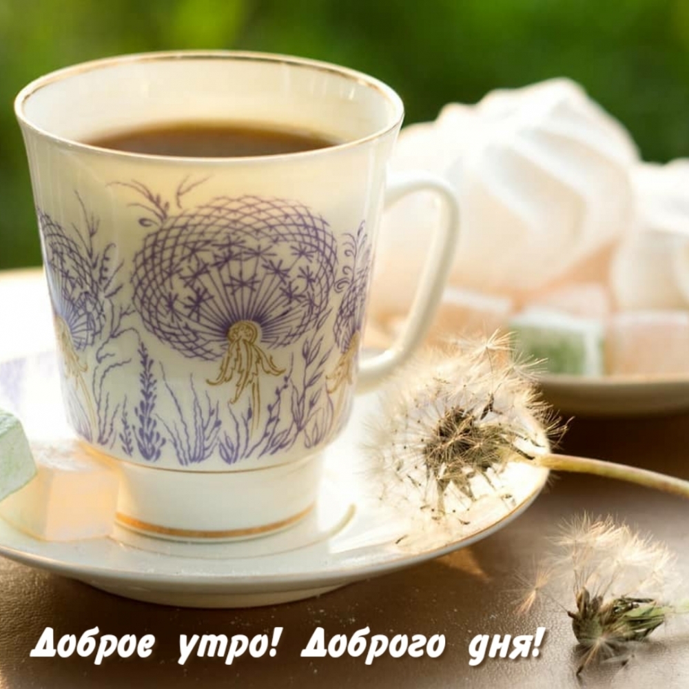 ������ ����! ������� ���!.