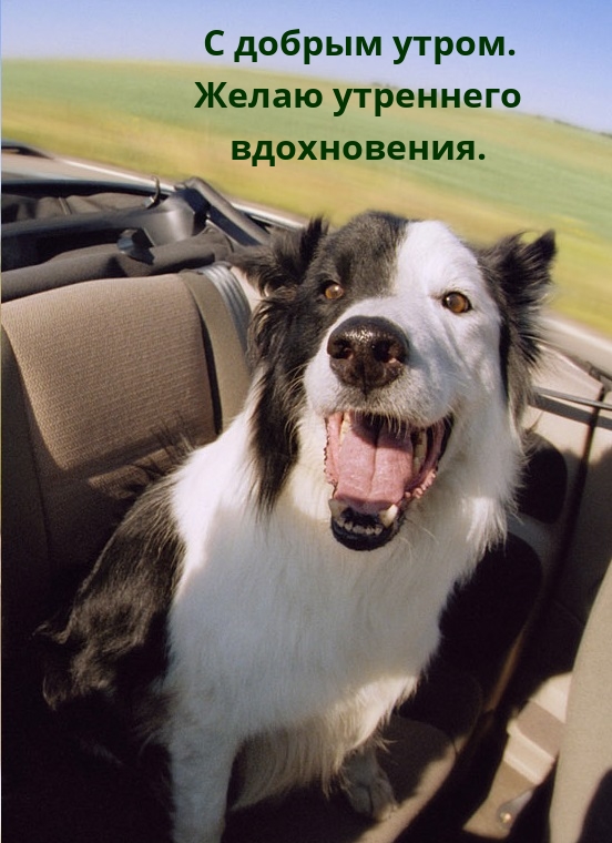 � ������ �����. ����� ��������� �����������..