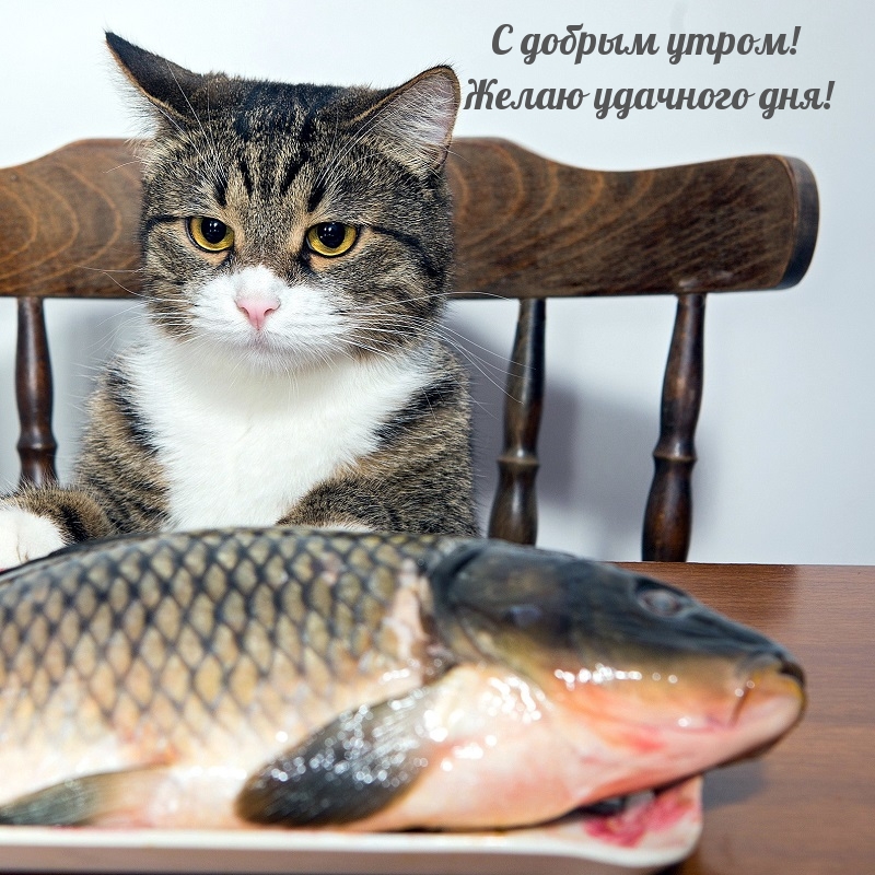 � ������ �����! ����� �������� ���!.