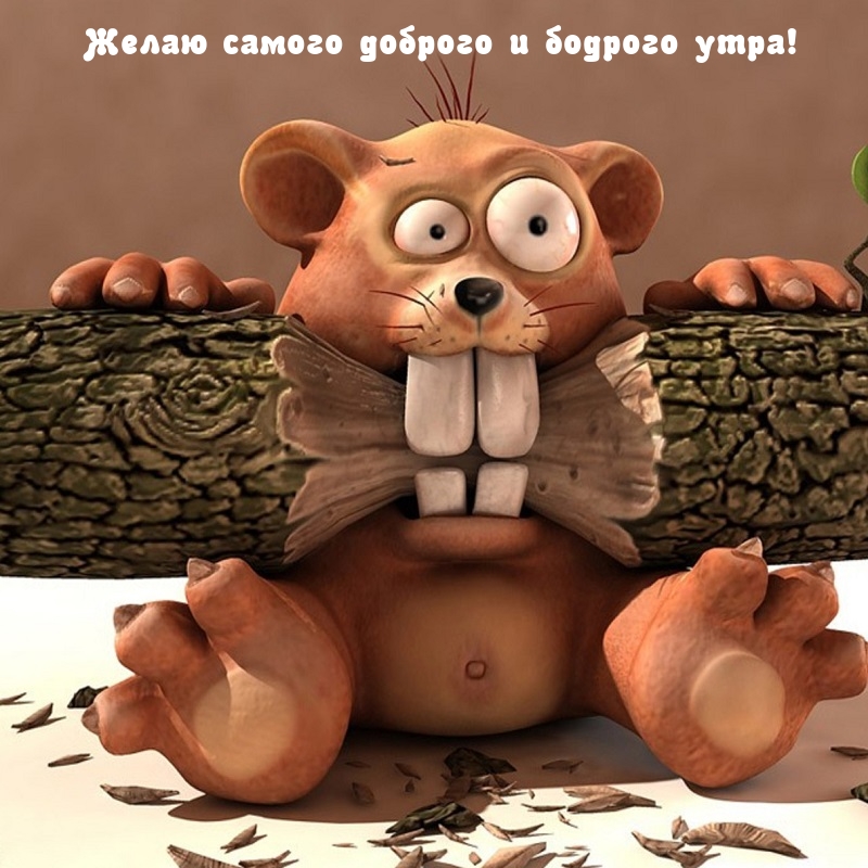 ����� ������ ������� � ������� ����!.