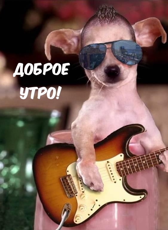 ������ ����!.