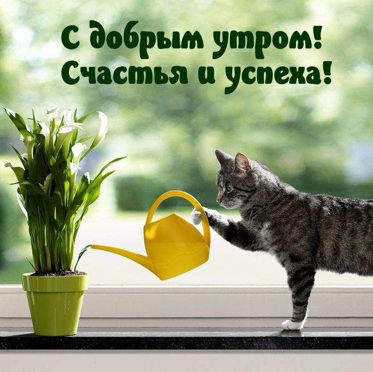 � ������ �����! ������� � ������!.