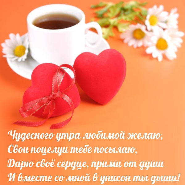 ��������� ��������� ���� ��� �������