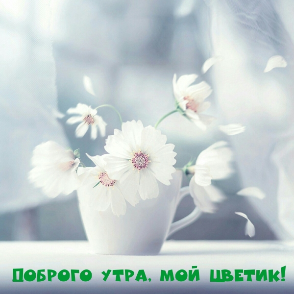 ������� ����, ��� ������!