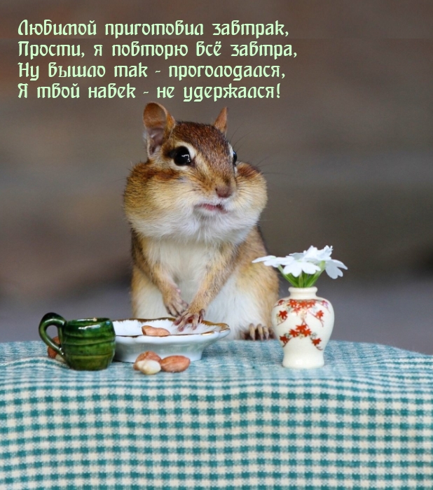 ������� ���������� �������