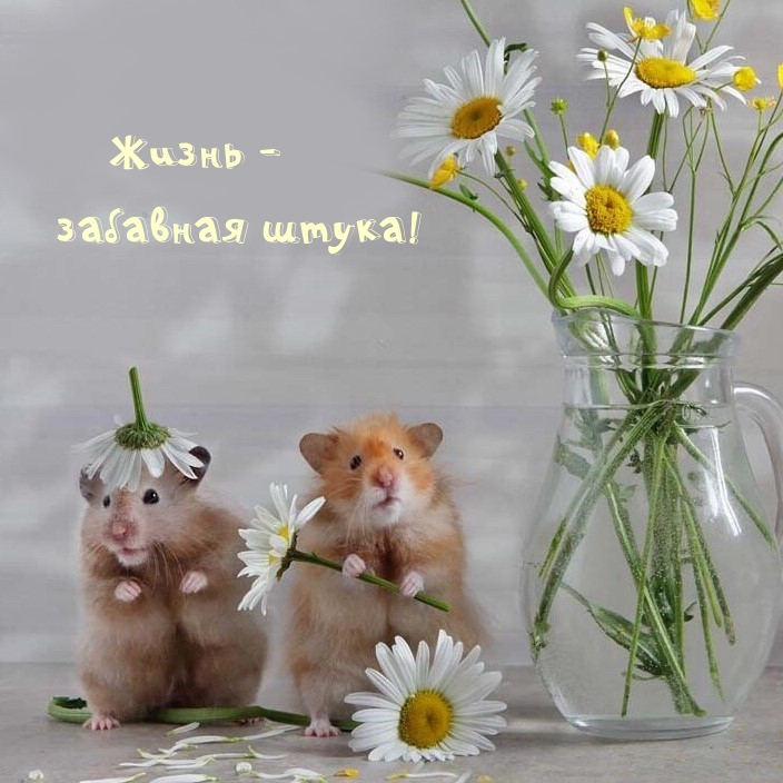 ����� - �������� �����!.