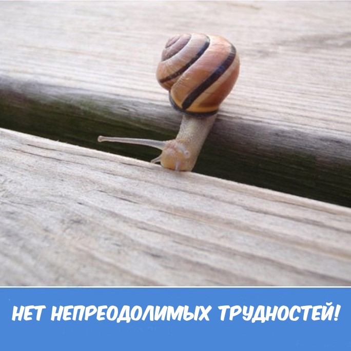 ��� ������������� ����������!.