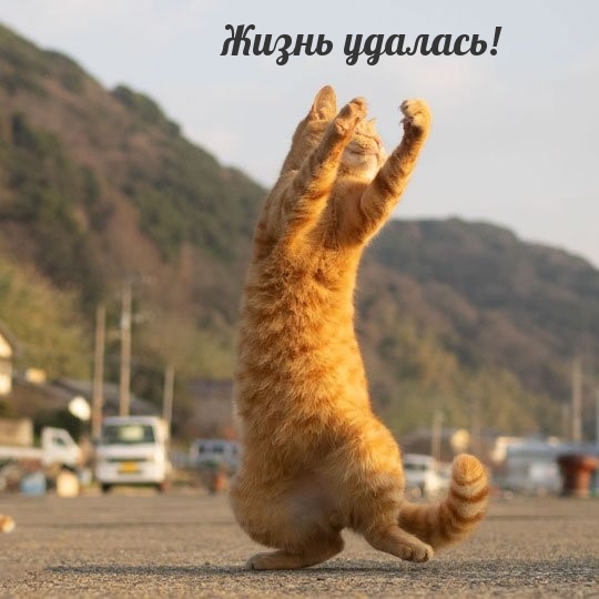����� �������!.
