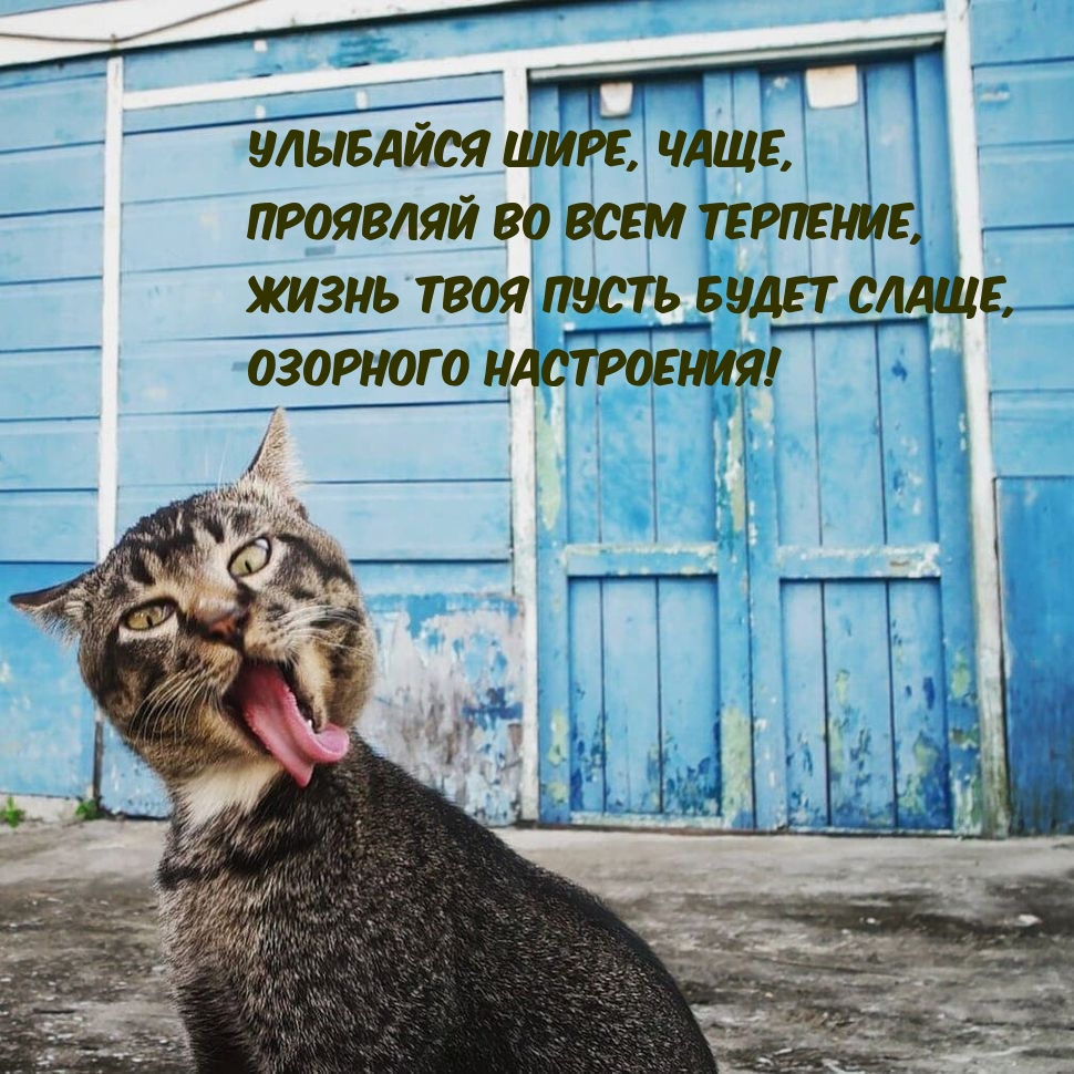 , ,    .