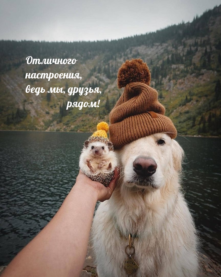 ��������� ����������, ���� ��, ������, �����! 