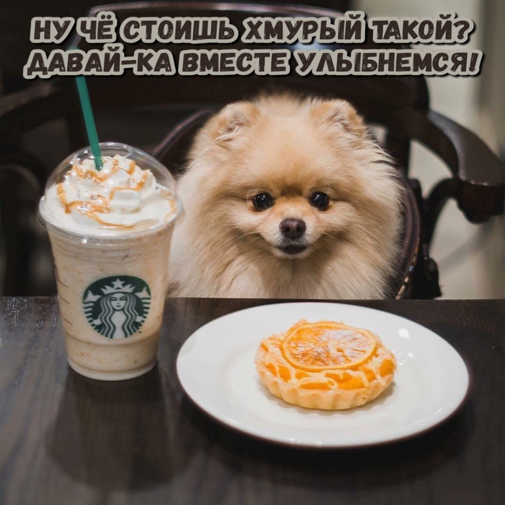 �� �� ������ ������ �����? �����-�� ������ ���������!.