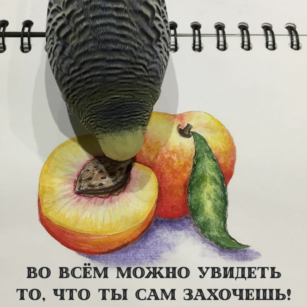 �� ��� ����� ������� ��, ��� �� ��� ��������!.