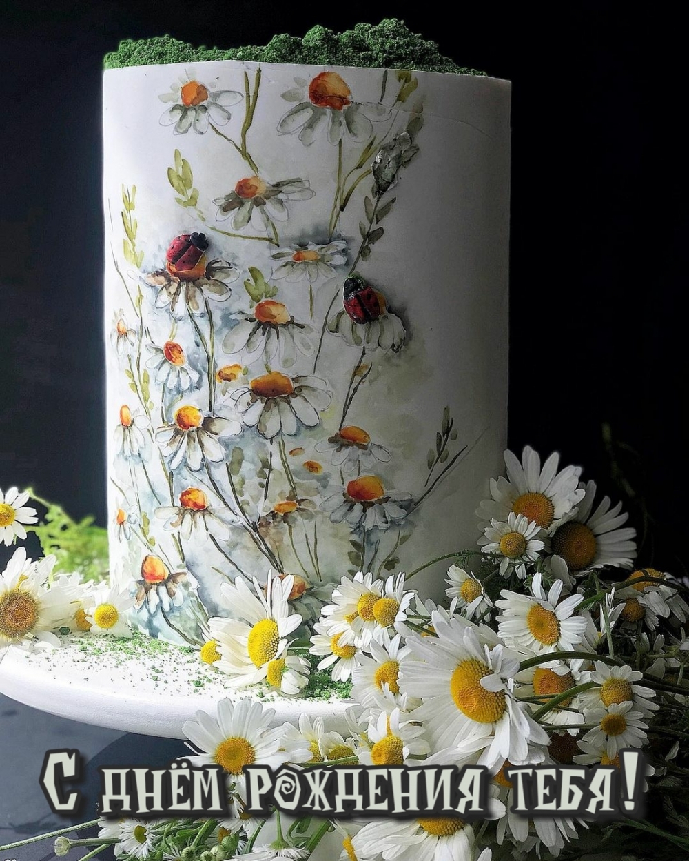 ���� � ��������� �� ���� ��������.