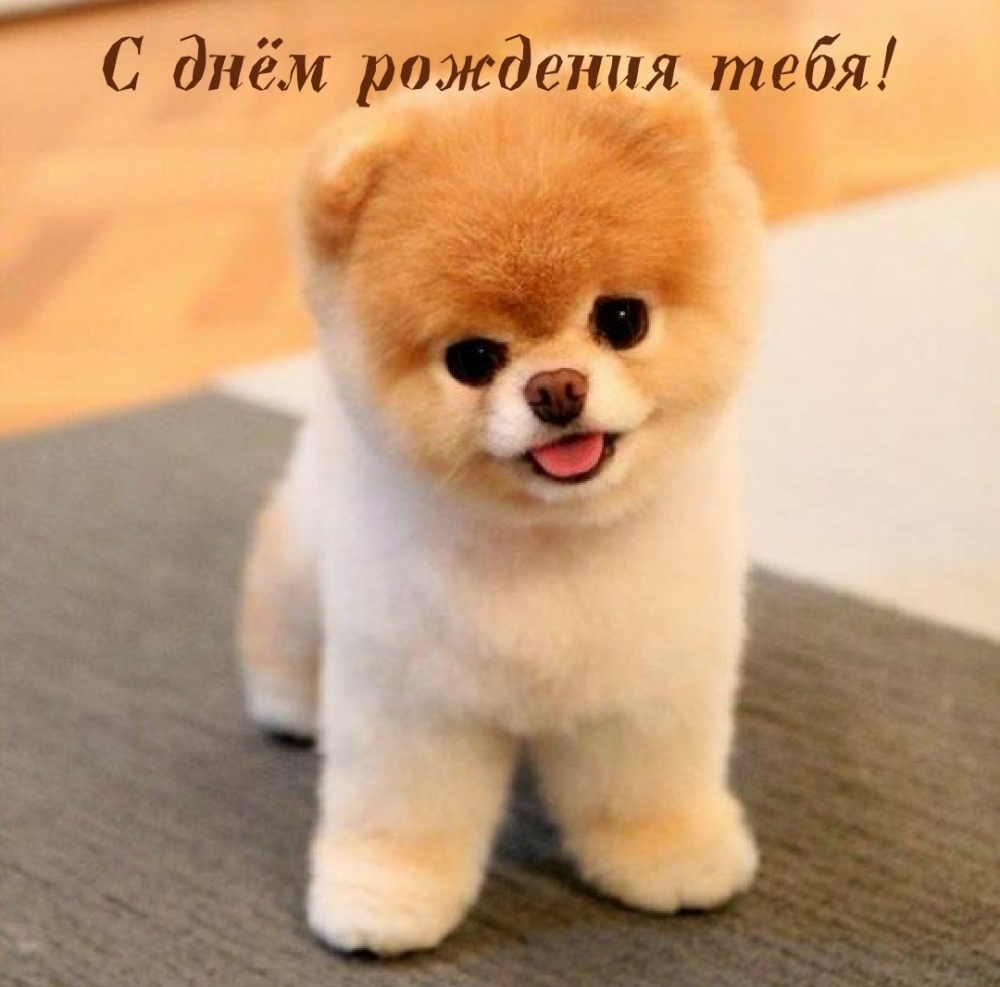����� ������� ����������� � ���� ��������.