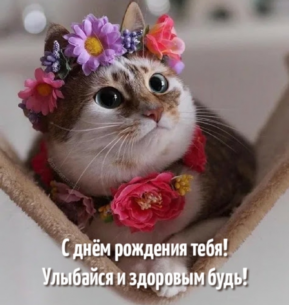 ����� ����� �� ���� ��������.