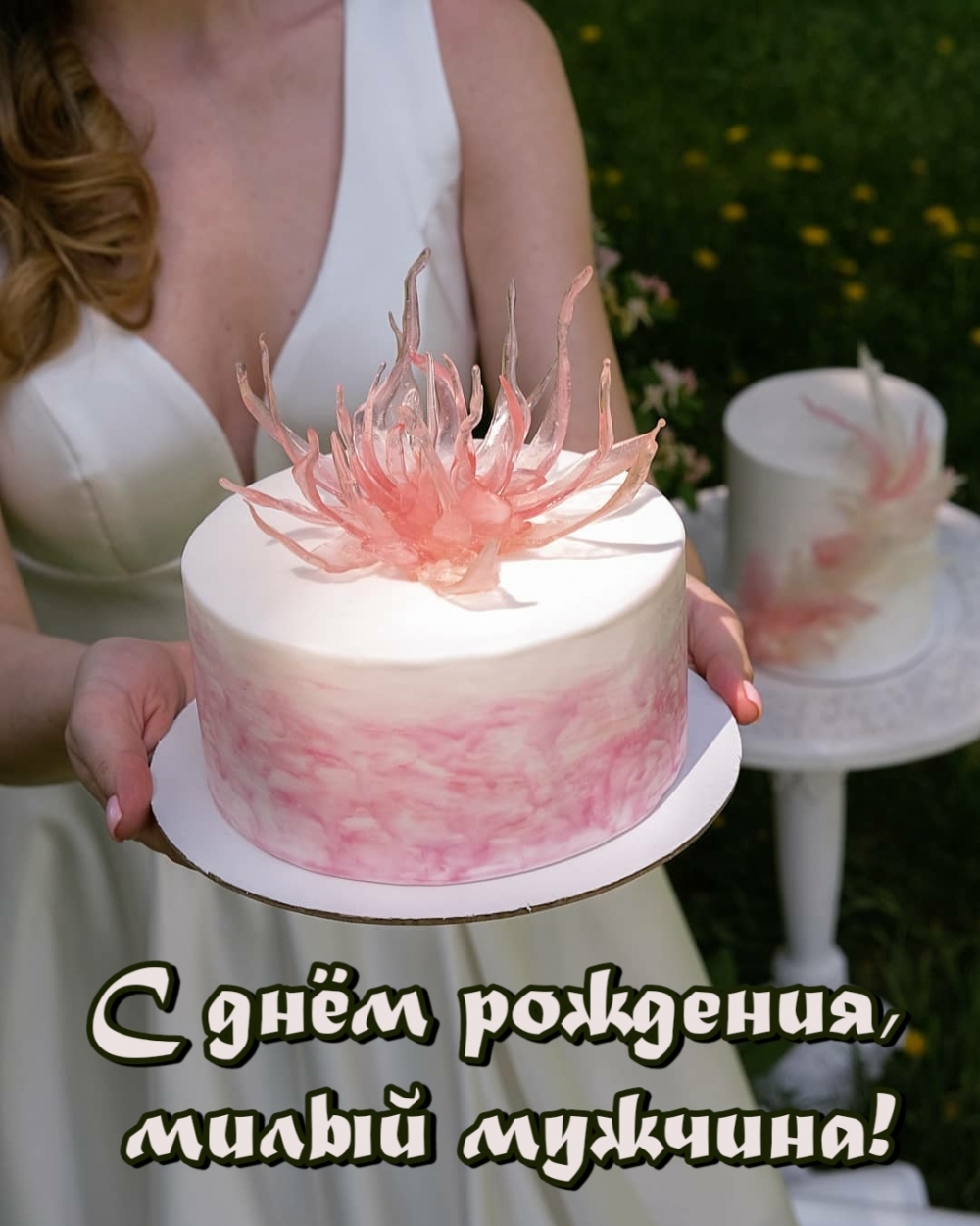 � ���� ��������, ����� �������!